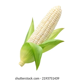 Corn2